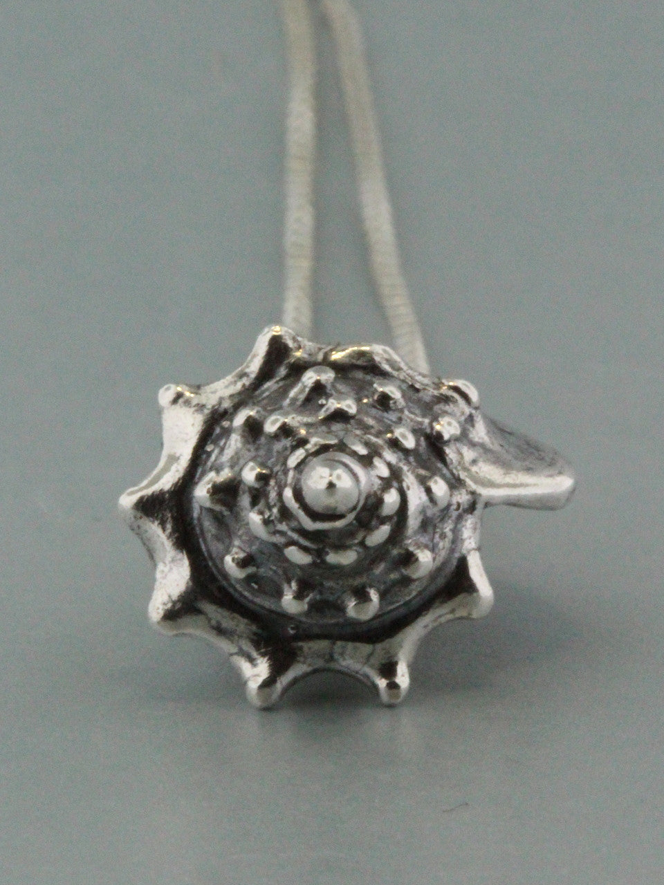 Sea Life - Conch Shell Charm - Silver