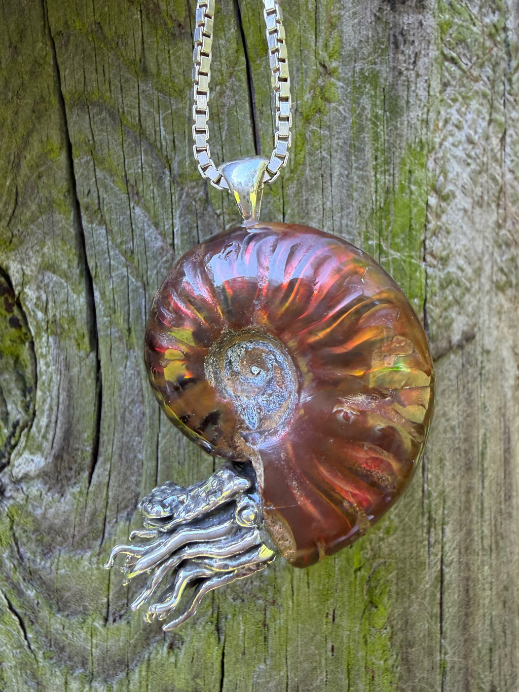 Rainbow Fossilized Ammonite Nautilus Necklace with Mexican Fire Opal - Sterling Silver