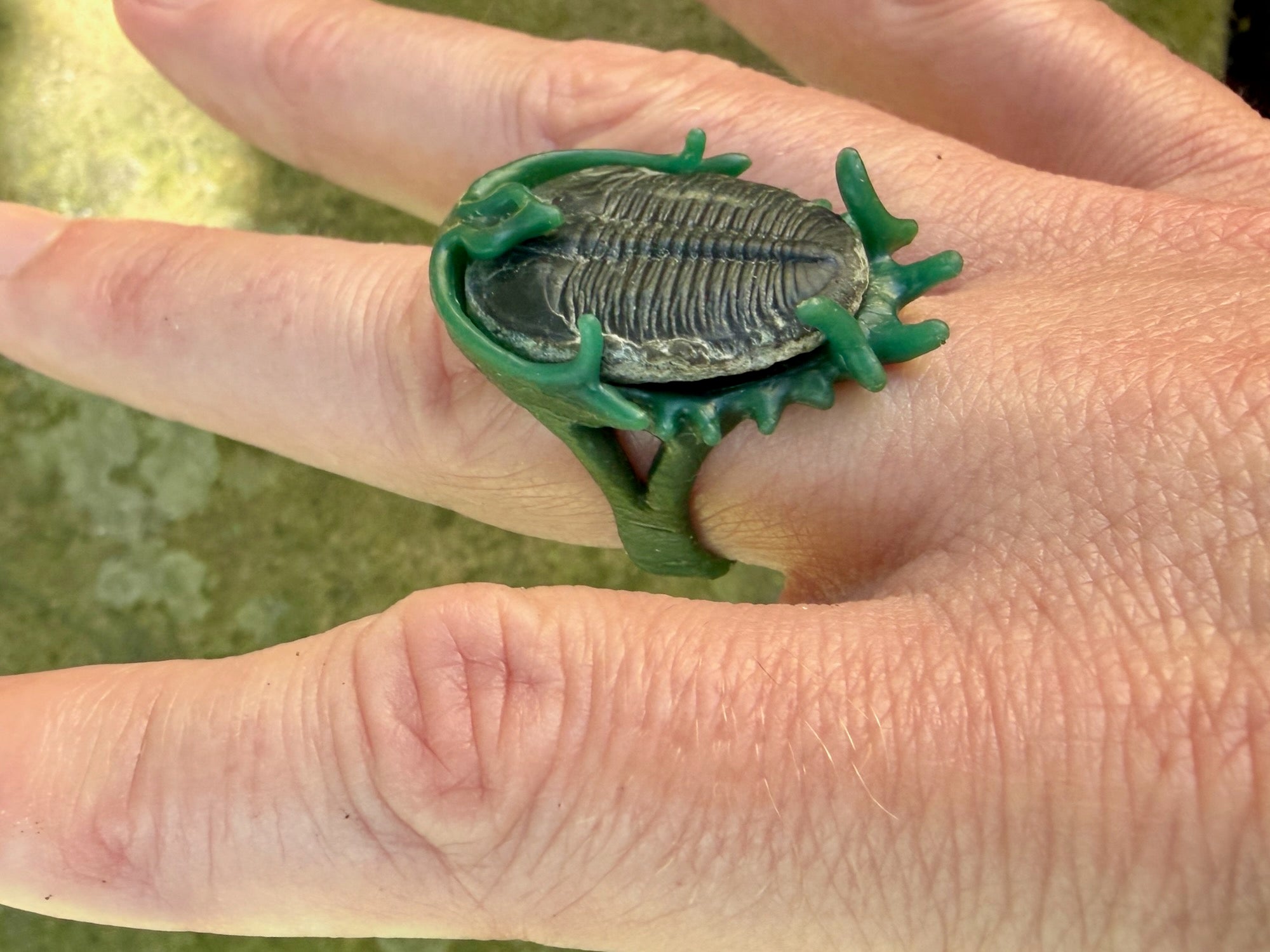 Trilobite Fossil Ring - Sterling Silver