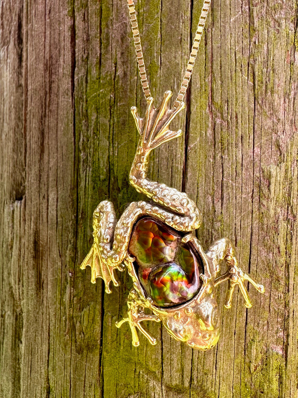 Harlequin Tree Frog Pendant in 18K Gold