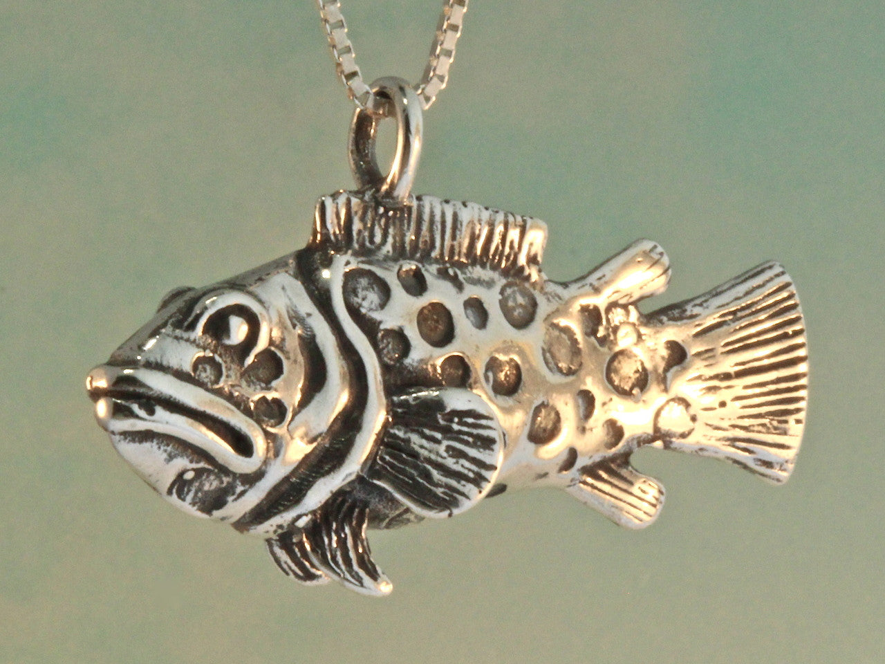 Potato Cod - Grouper - Bass