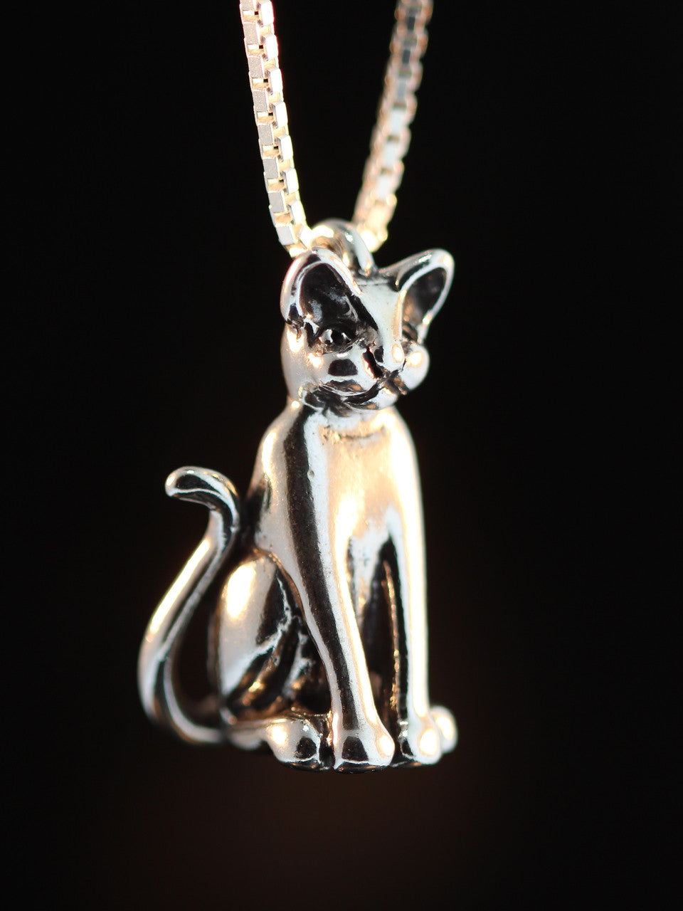 Egyptian Magic Cat Pendant in Silver