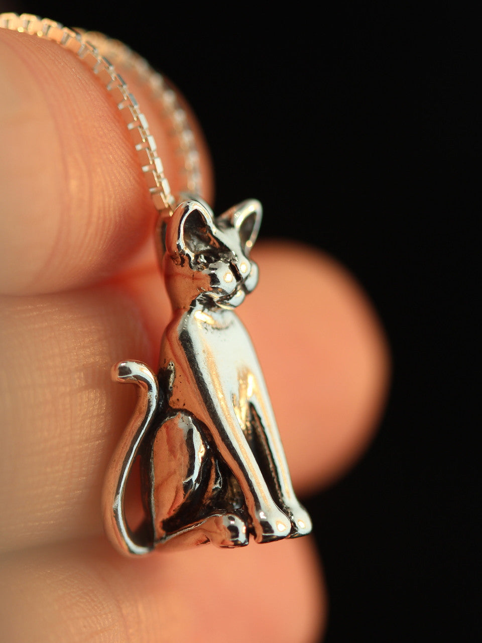 Egyptian Magic Cat Pendant in Silver