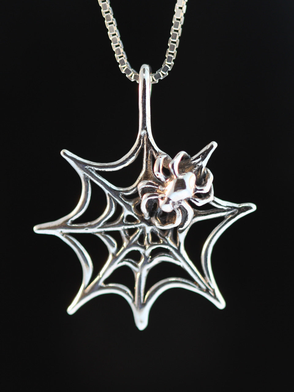 Small Sterling Silver Spider Web Pendant
