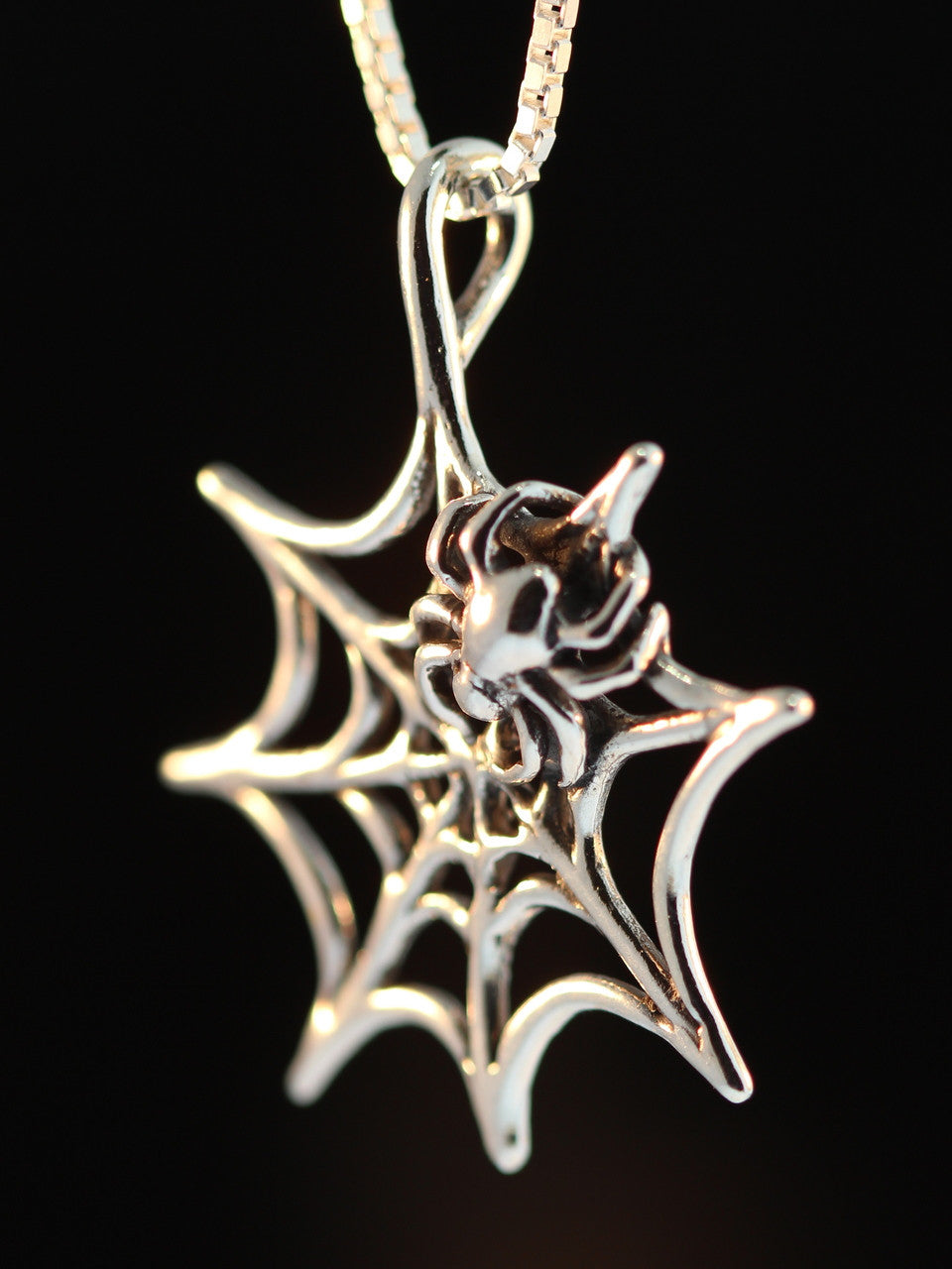 Small Sterling Silver Spider Web Pendant