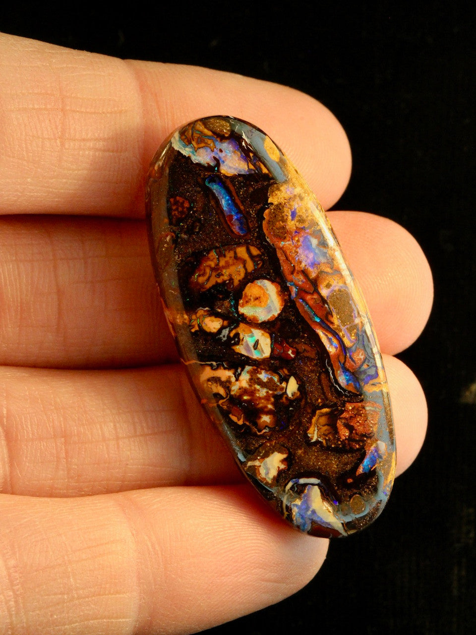 Elliptiglyph - Australian Boulder Opal - 59 ct