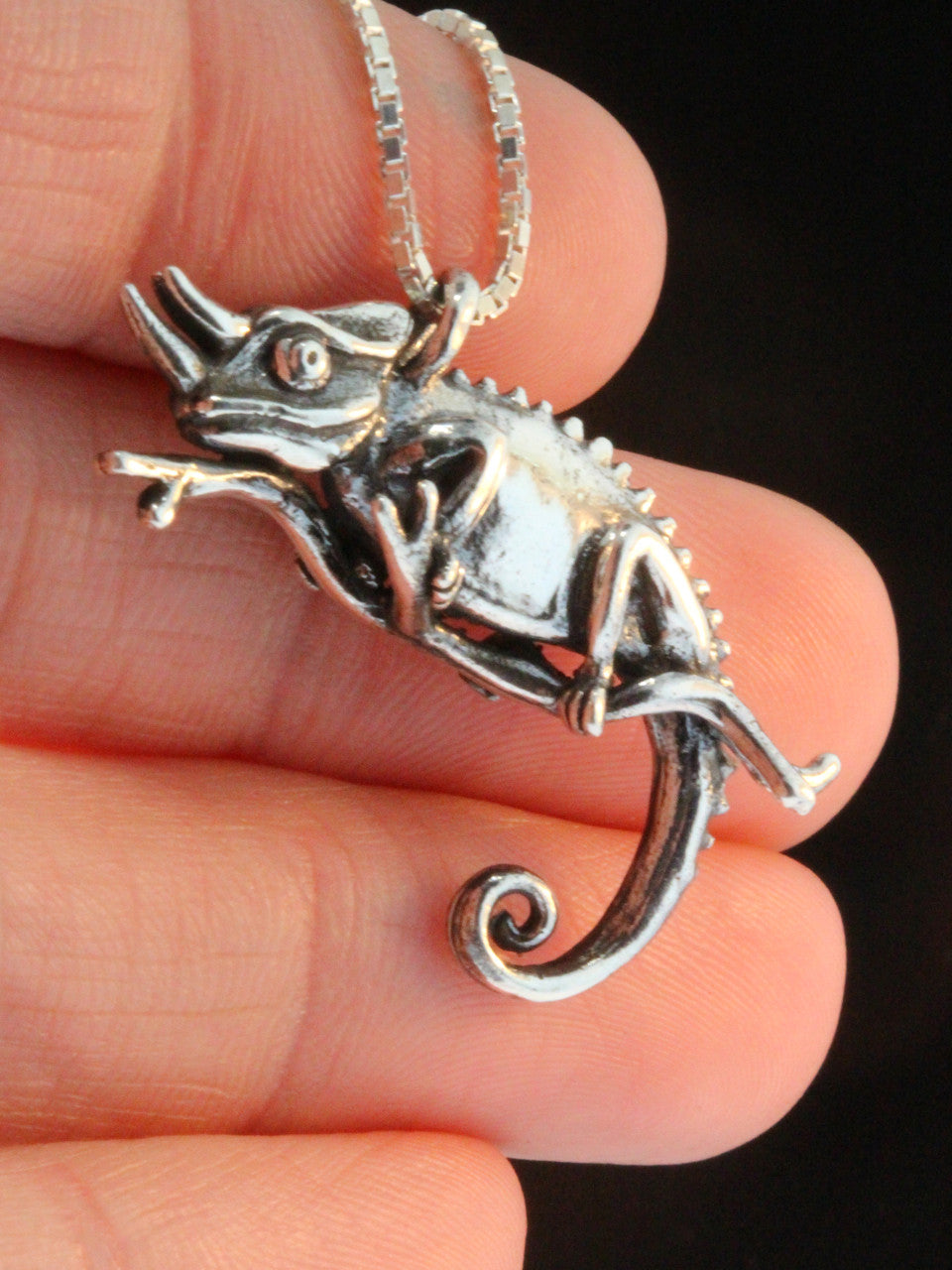 Jackson Chameleon Charm Silver