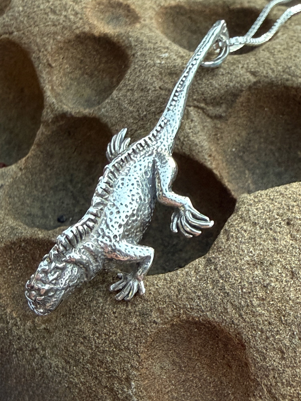 Marine Iguana Charm - Sterling Silver