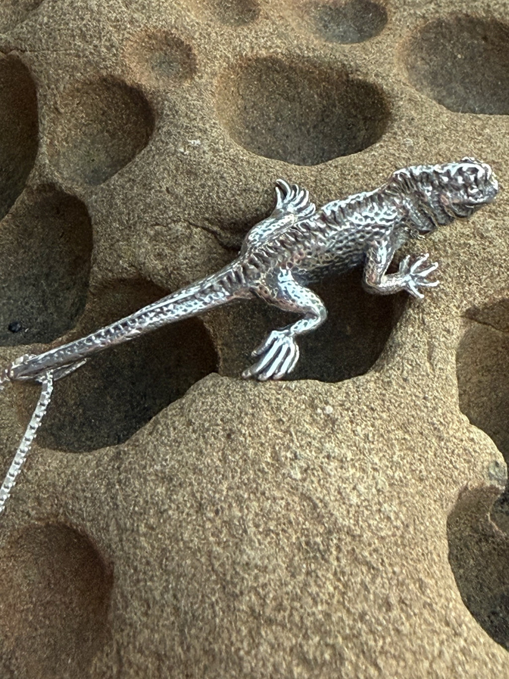 Marine Iguana Charm - Sterling Silver