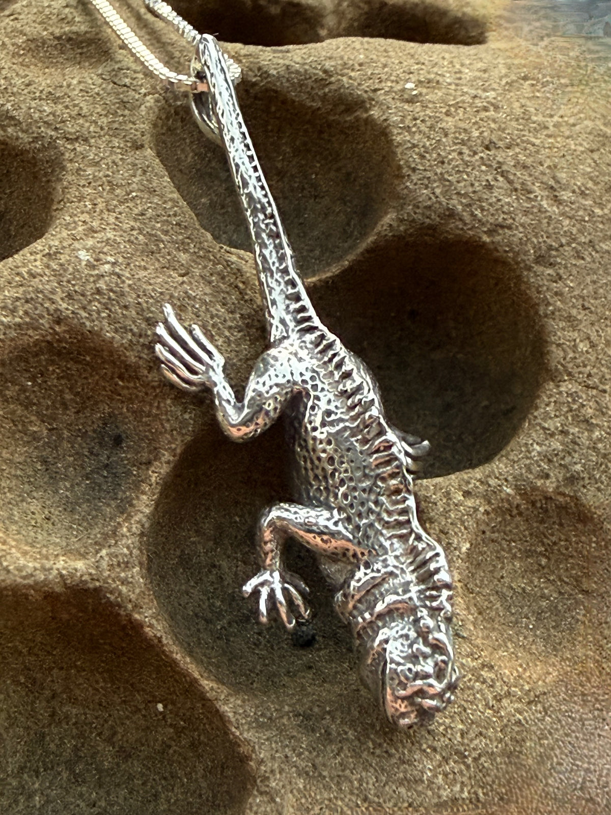 Marine Iguana Charm - Sterling Silver