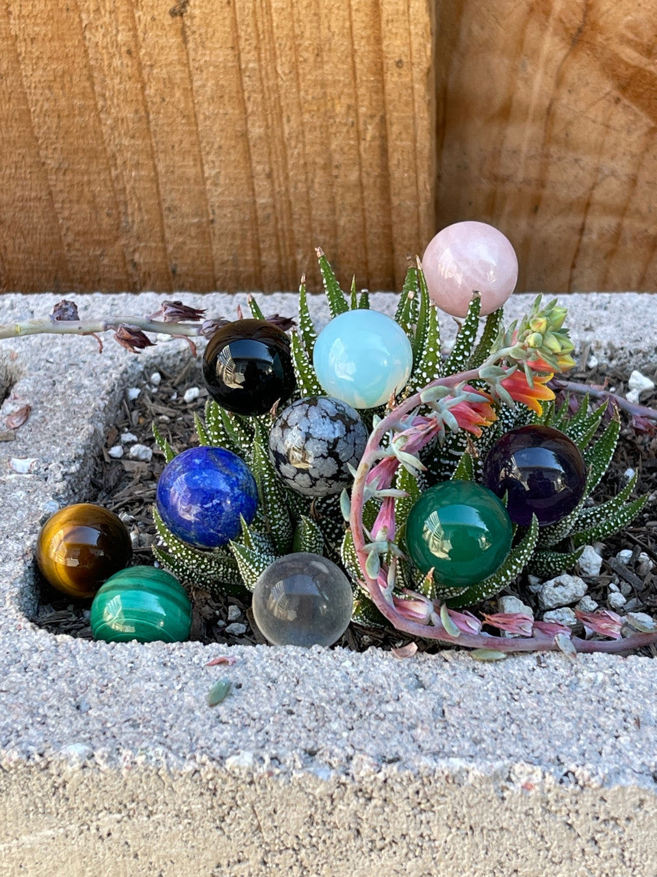 Orb Options