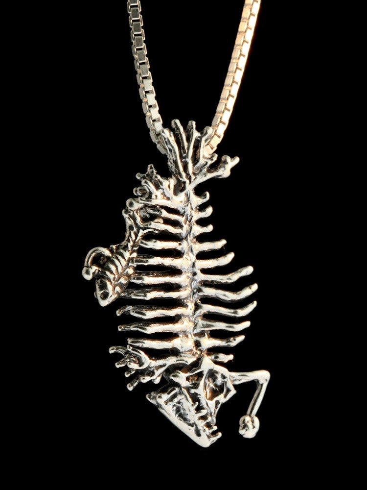 Phantom Angler Fish Skeleton with Tiny Fish