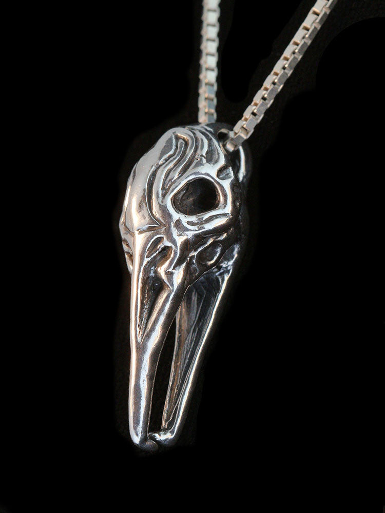 Raven Skull in Silver