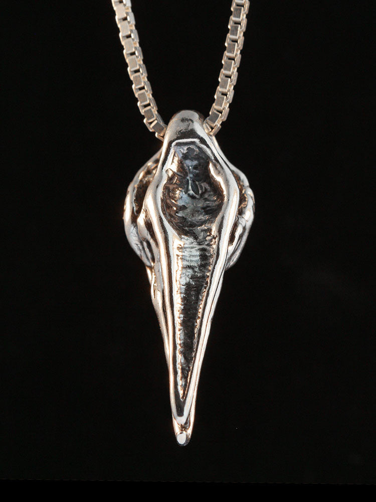 Raven Skull in Silver