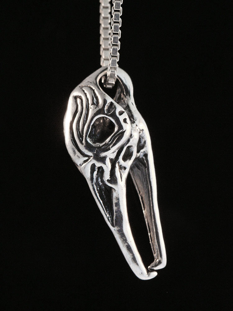 Raven Skull in Silver