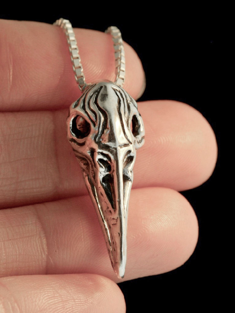 Raven Skull in Silver
