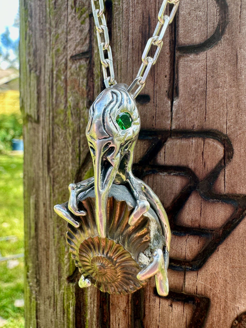 Raven Skull with Ammonite Negative and Tsavorite Eyes - Silver