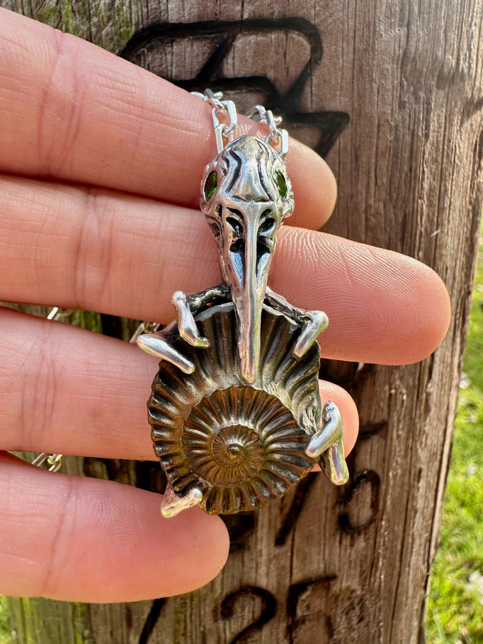 Raven Skull with Ammonite Negative and Tsavorite Eyes - Silver