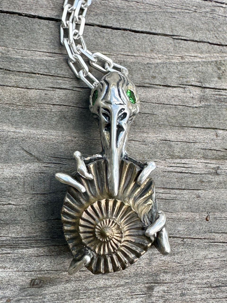 Raven Skull with Ammonite Negative and Tsavorite Eyes - Silver