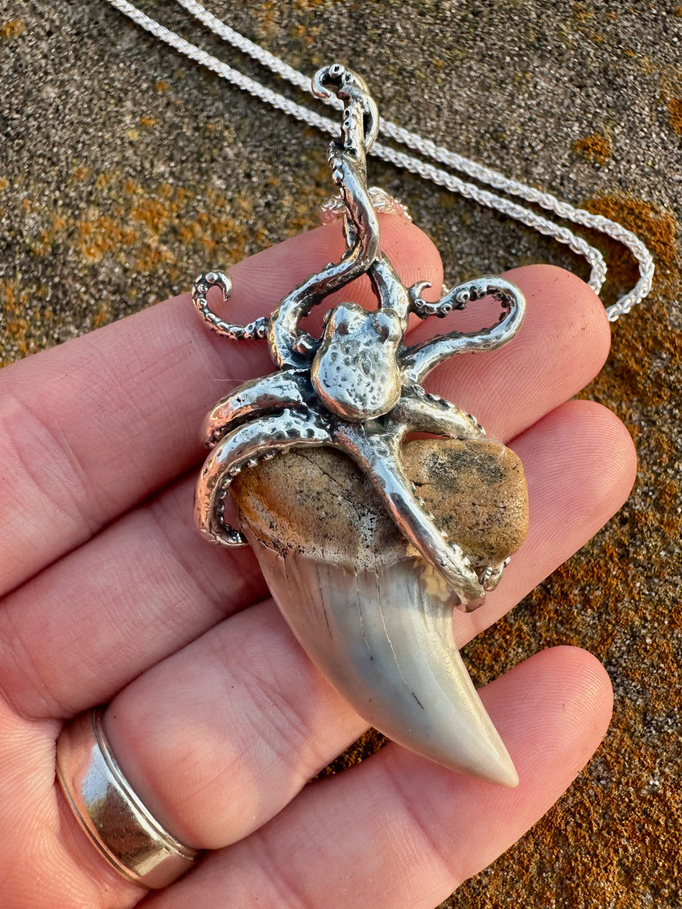 Octopus Shark Tooth Pendant - Silver