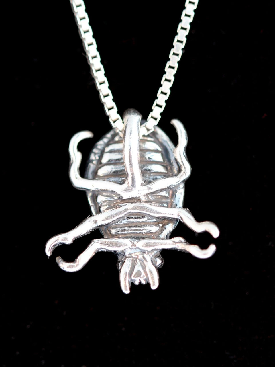 Scarab Beetle Charm