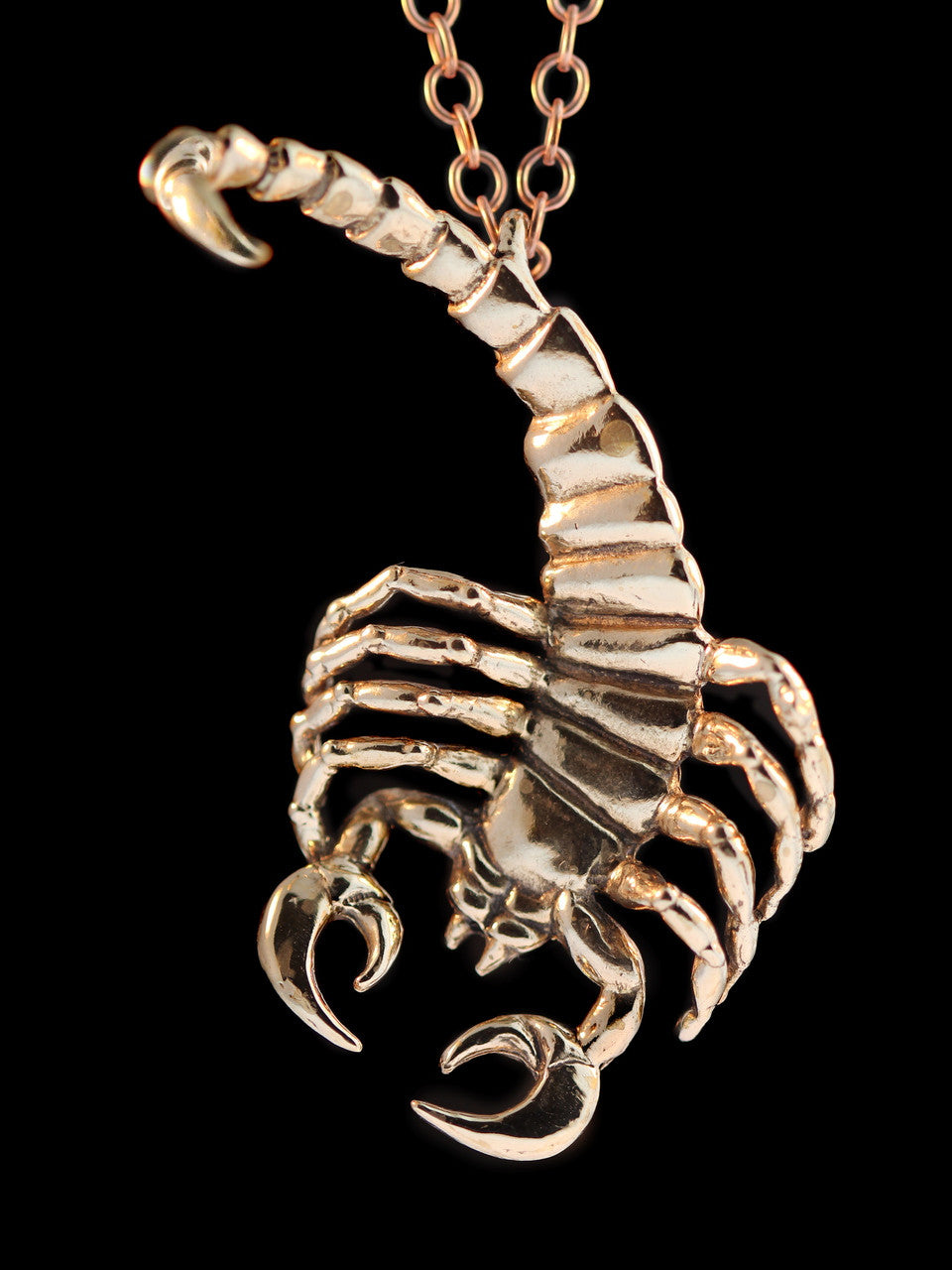 Scorpion Pendant - Bronze
