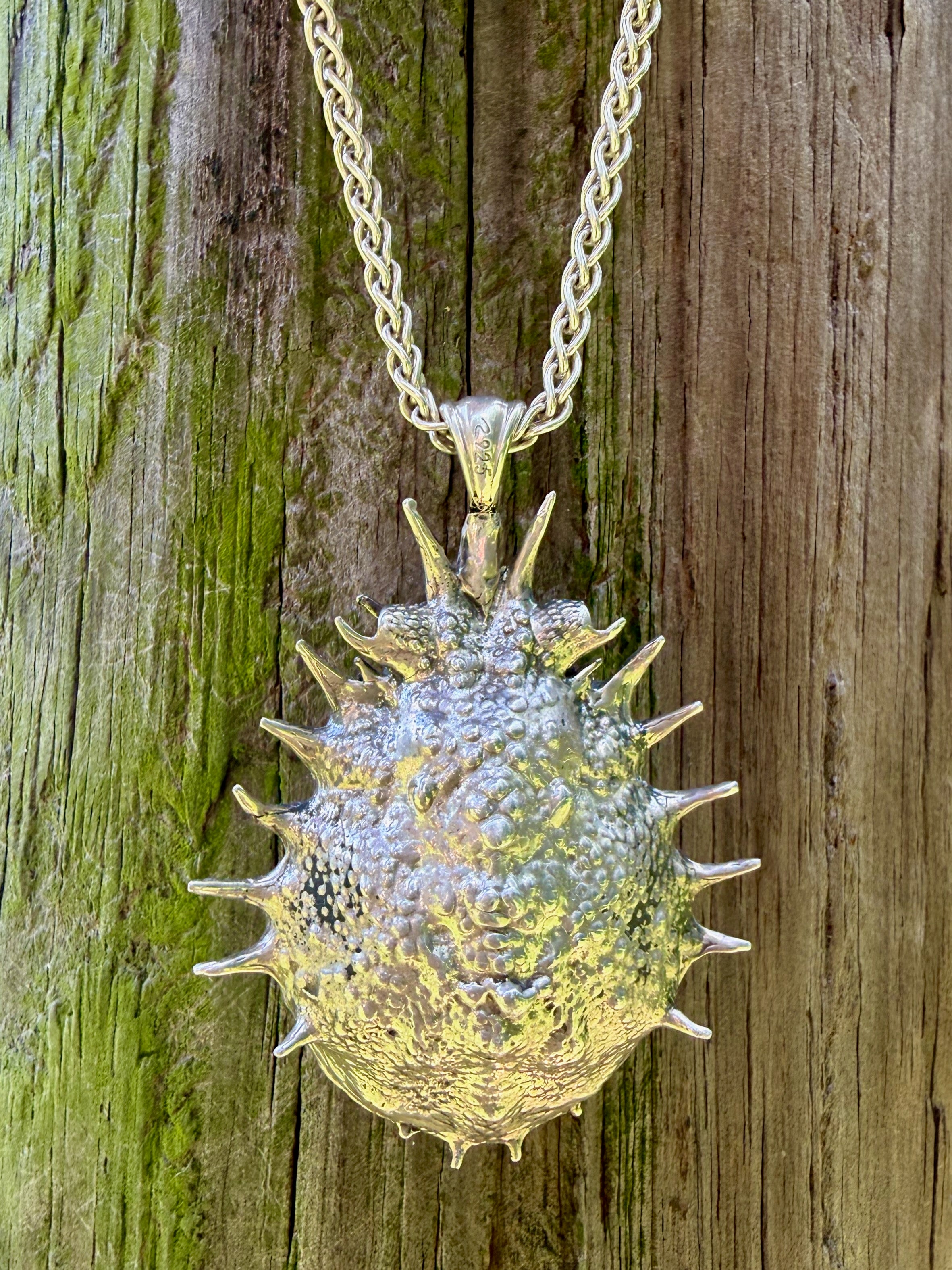 Adriatic Spider Crab Carapace with Ammonite Fossil Negative Treasure - Sterling Silver