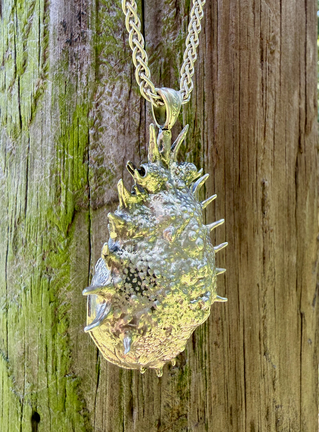 Adriatic Spider Crab Carapace with Ammonite Fossil Negative Treasure - Sterling Silver