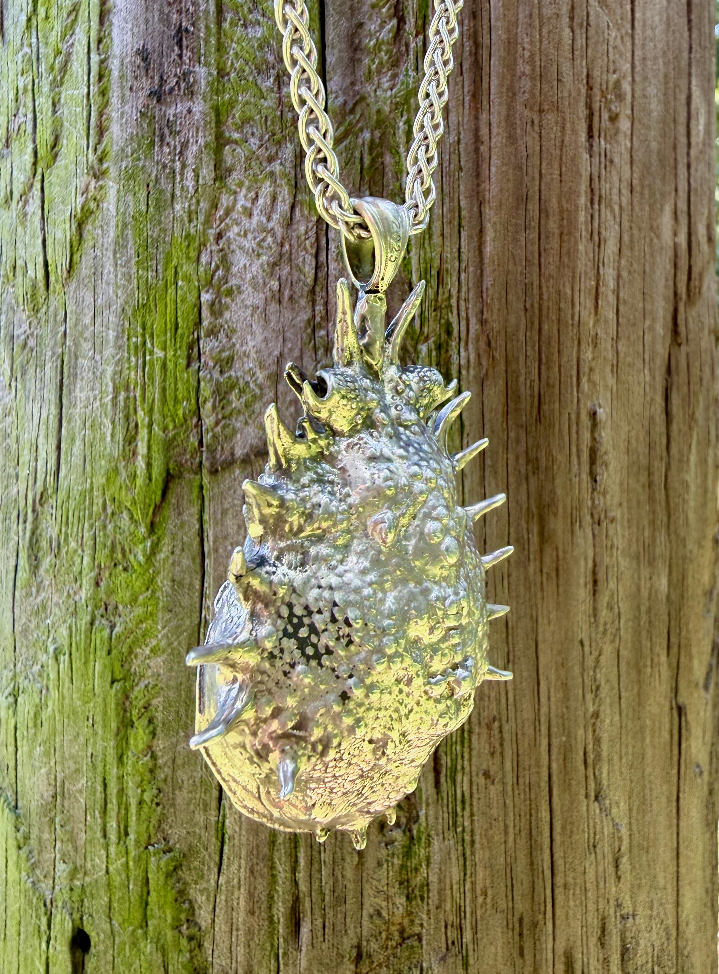 Adriatic Spider Crab Carapace with Ammonite Fossil Negative Treasure - Sterling Silver