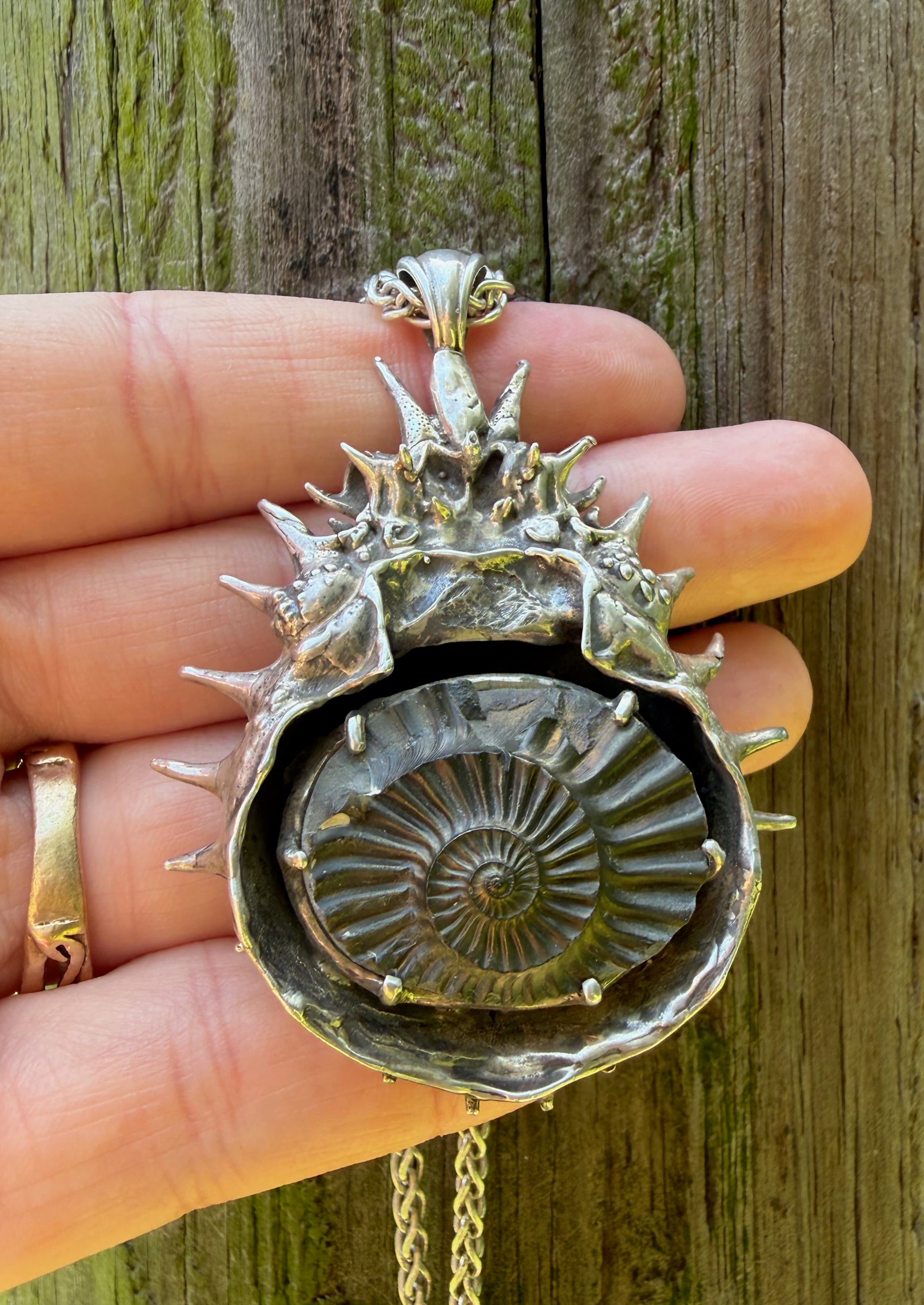 Adriatic Spider Crab Carapace with Ammonite Fossil Negative Treasure - Sterling Silver
