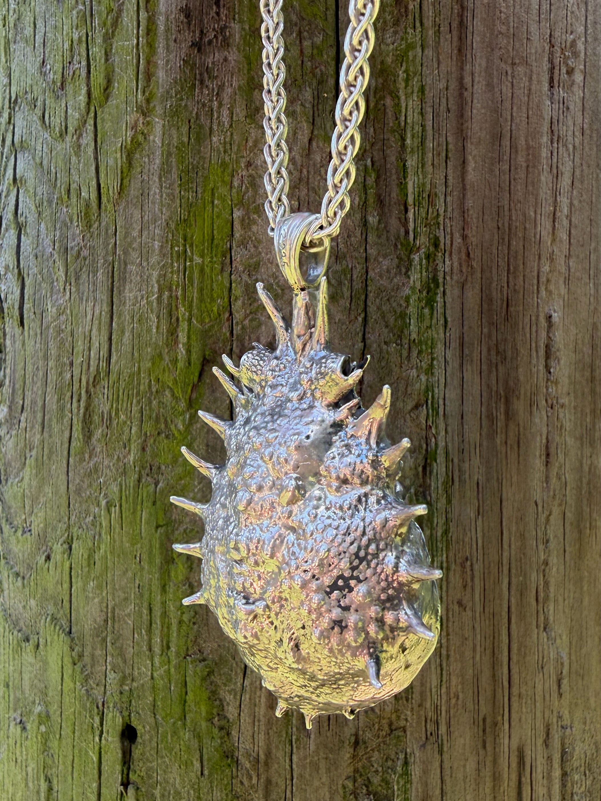 Adriatic Spider Crab Carapace with Ammonite Fossil Negative Treasure - Sterling Silver