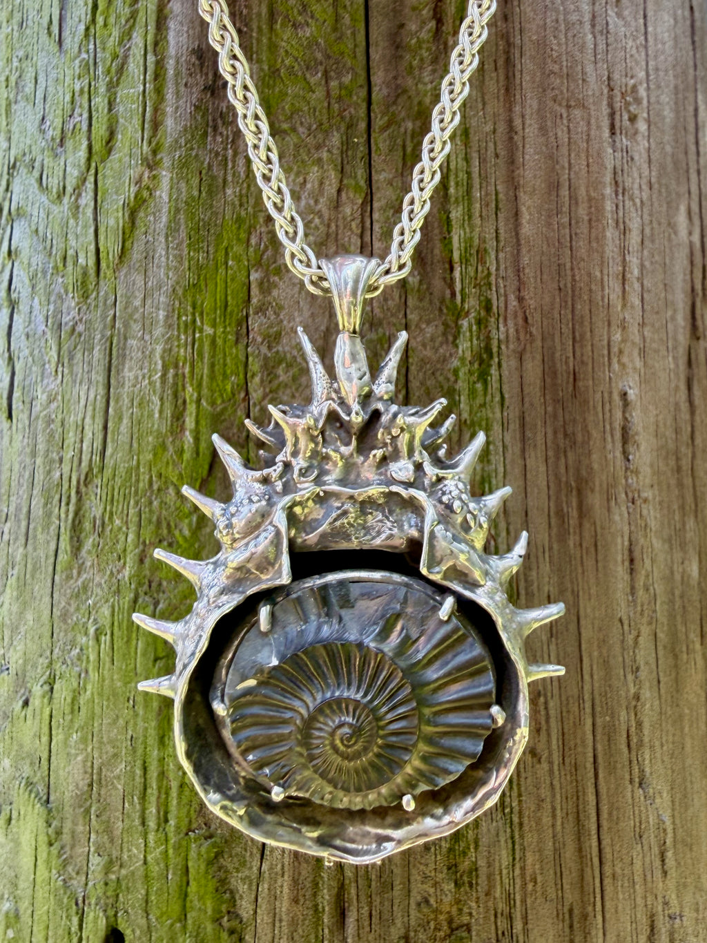 Adriatic Spider Crab Carapace with Ammonite Fossil Negative Treasure - Sterling Silver