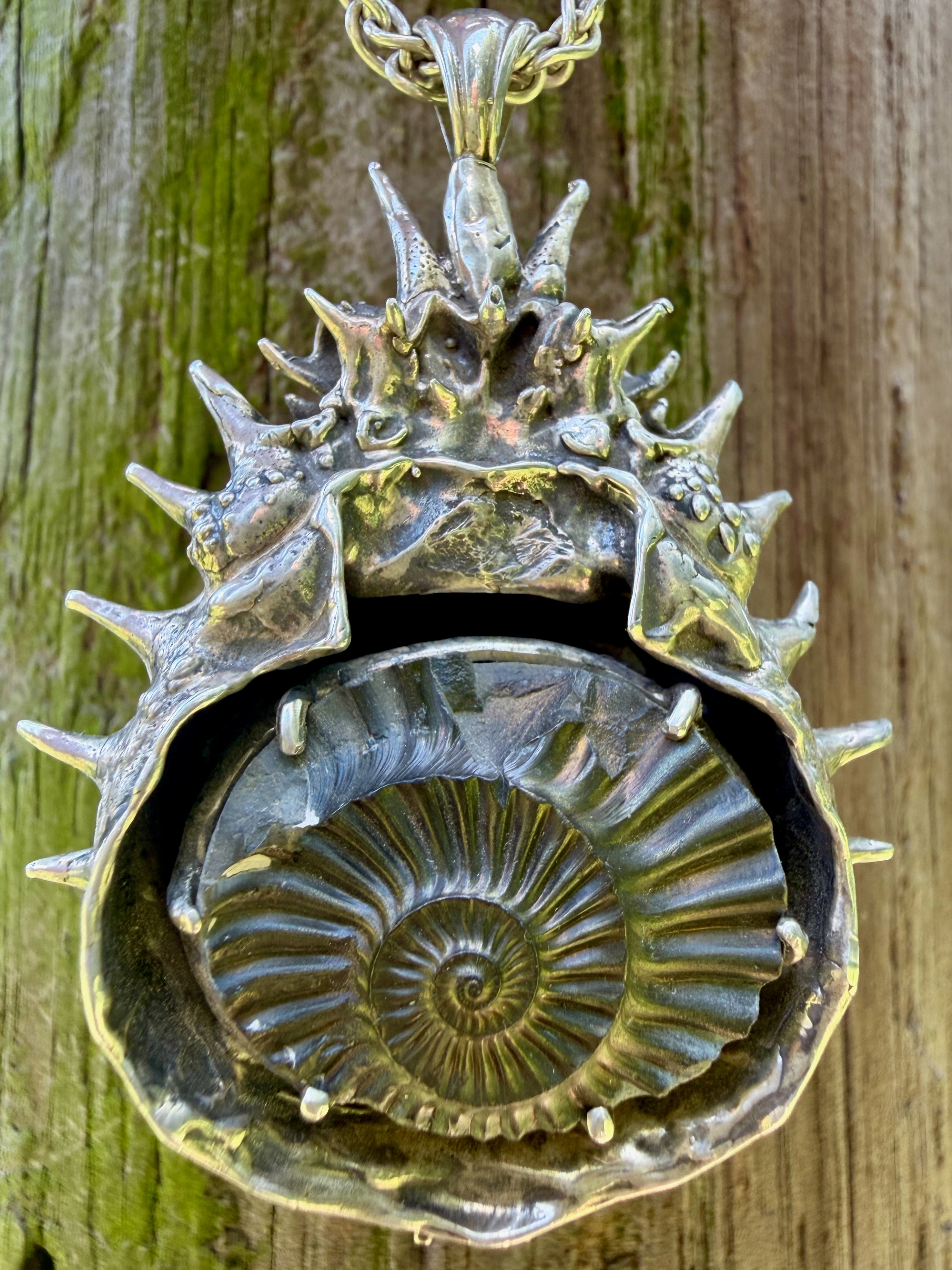 Adriatic Spider Crab Carapace with Ammonite Fossil Negative Treasure - Sterling Silver