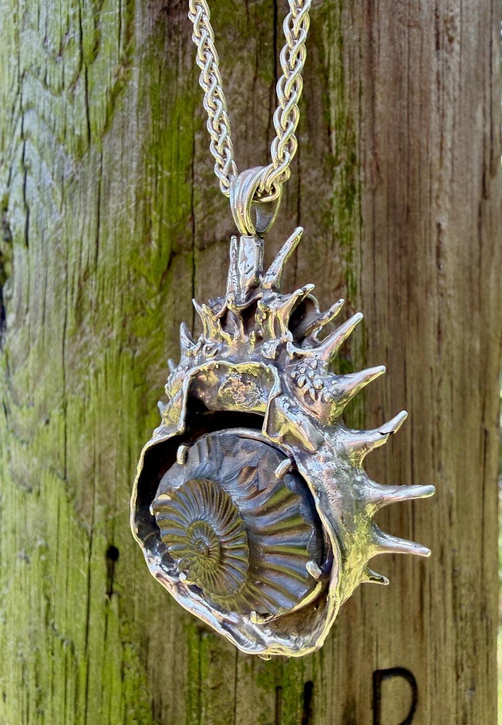 Adriatic Spider Crab Carapace with Ammonite Fossil Negative Treasure - Sterling Silver