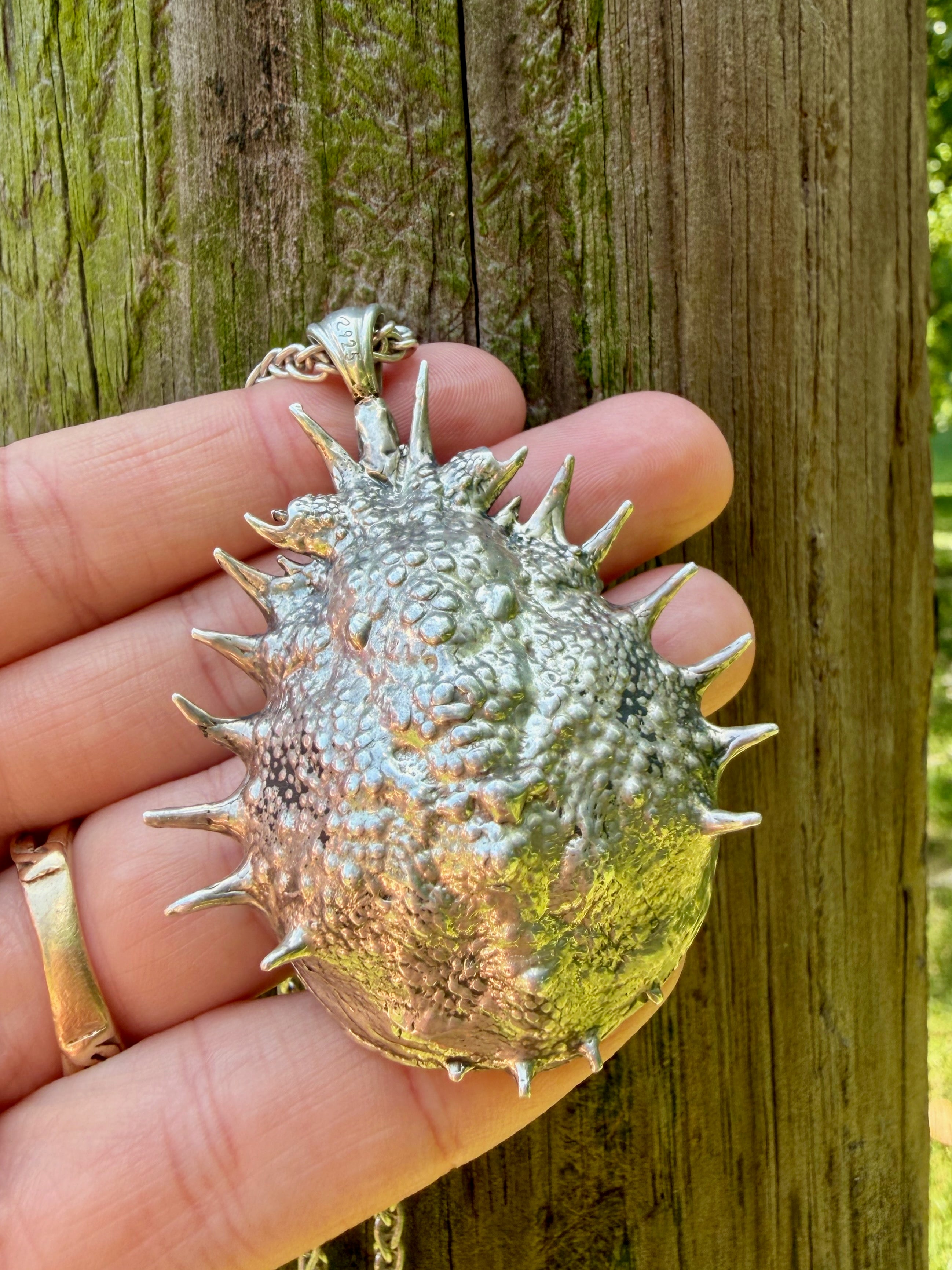 Adriatic Spider Crab Carapace with Ammonite Fossil Negative Treasure - Sterling Silver