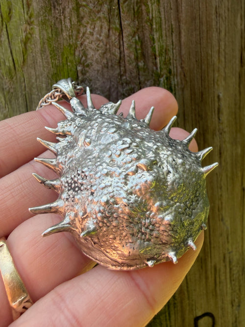Adriatic Spider Crab Carapace with Ammonite Fossil Negative Treasure - Sterling Silver