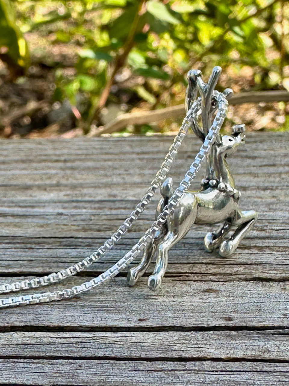 Reindeer with Ruby Nose