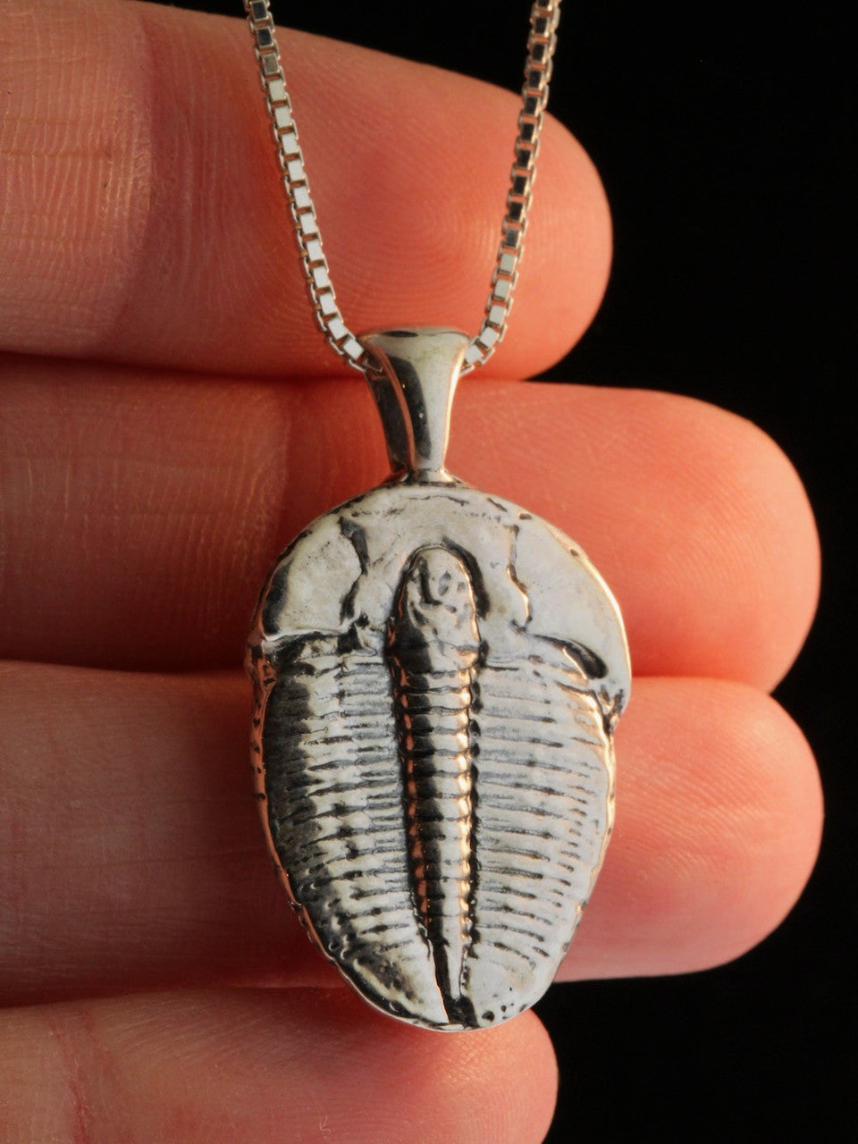 Trilobite Pendant Live Casting - Silver