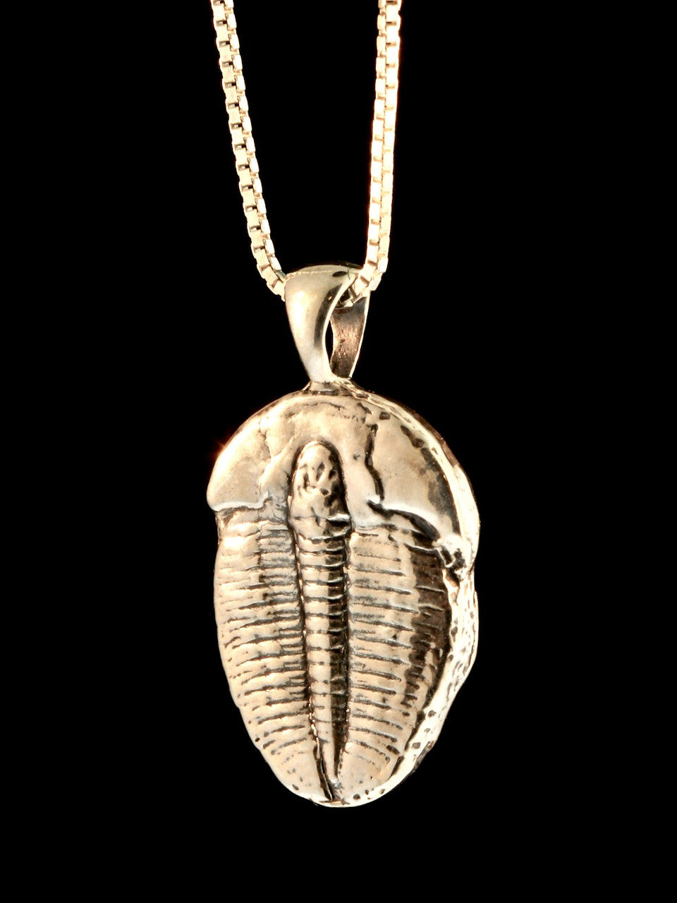 Trilobite Pendant Live Casting - Silver