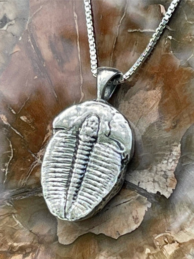 Trilobite  Pendant - Sterling Silver