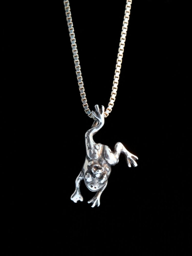 Enchanted Frog Charm - Silver