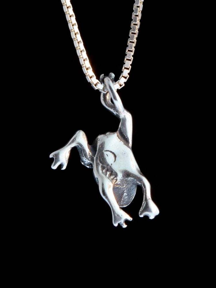 Enchanted Frog Charm - Silver