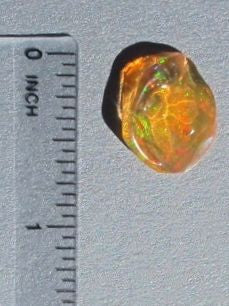 Solaris - Mexican Fire Opal - 6 ct