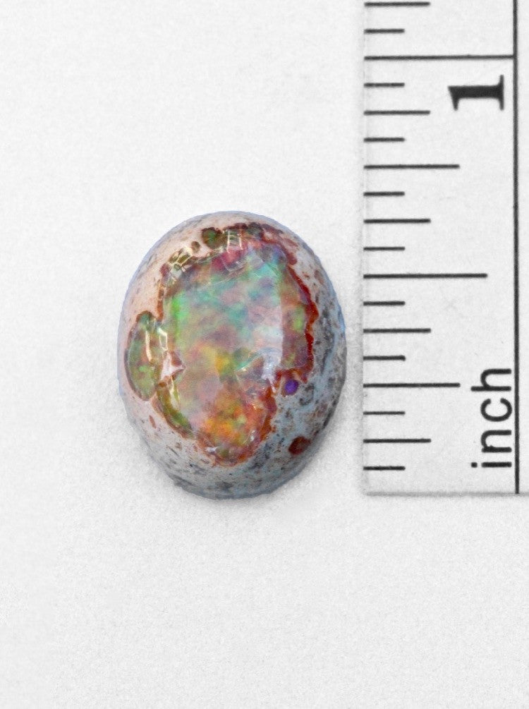 Solaris - Mexican Matrix Fire Opal - 12 ct