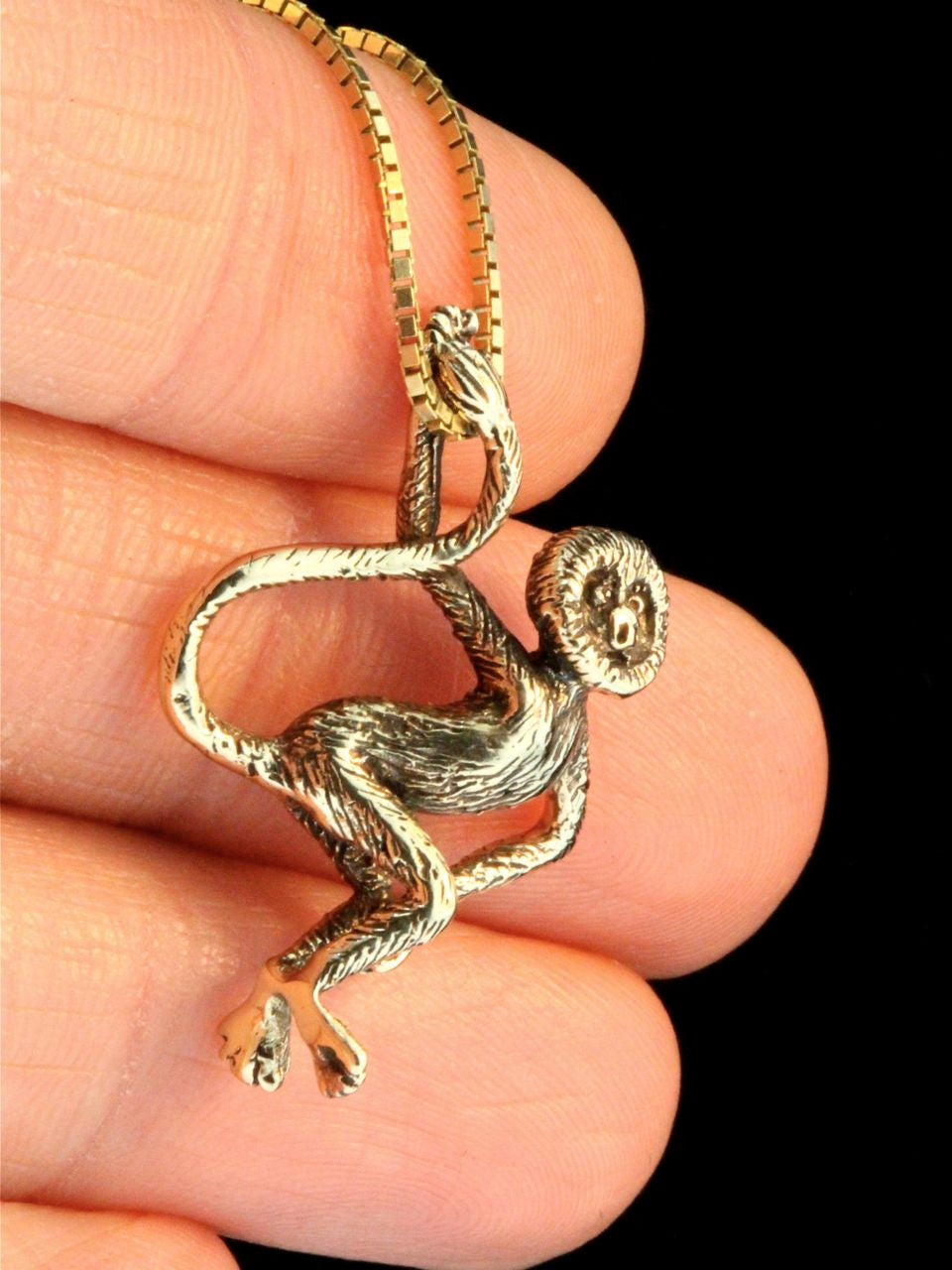 Spider Monkey -14k