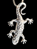 Sterling Salamander