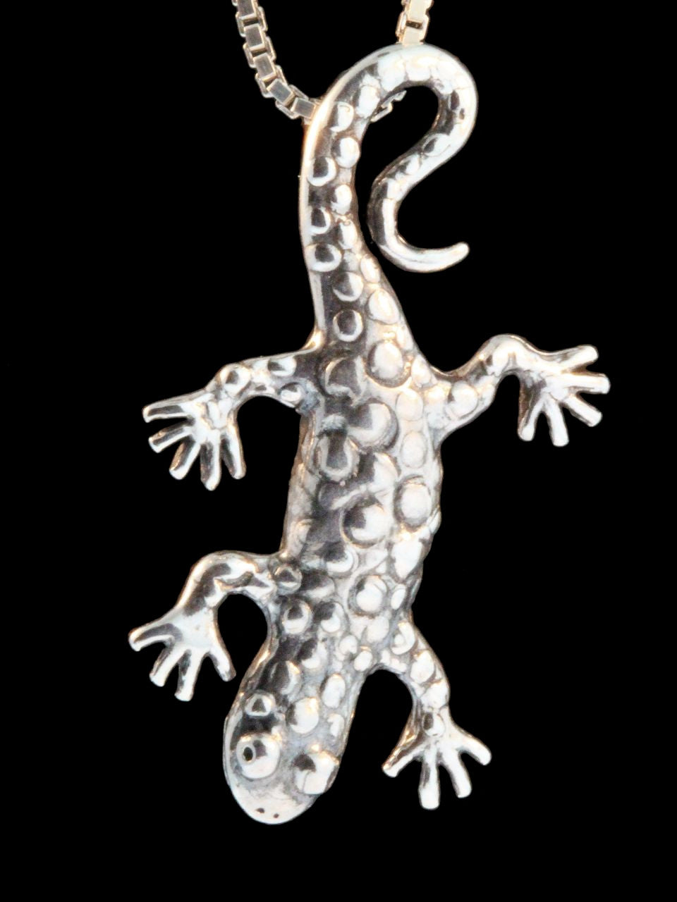 Sterling Salamander