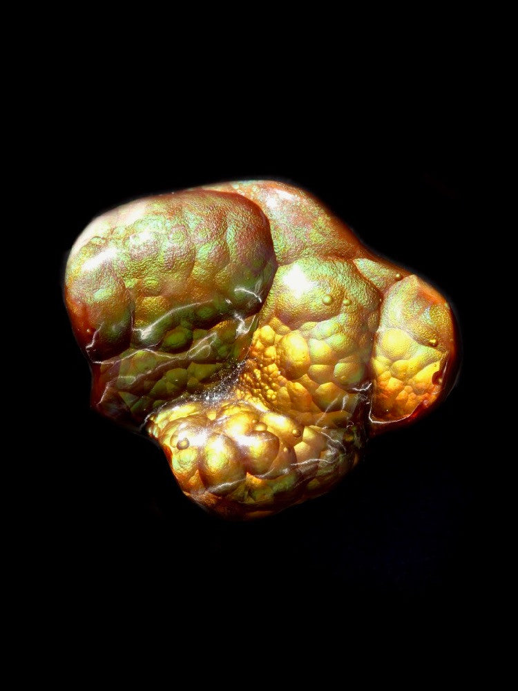 Tanglewood Root - Fire Agate - 36 ct