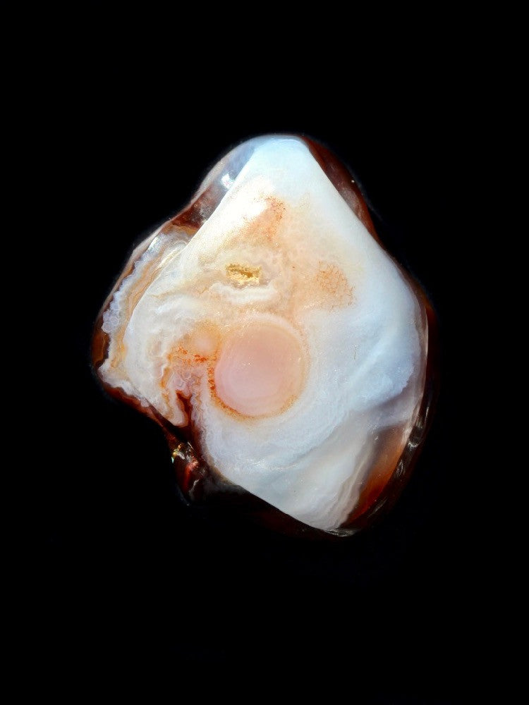 Tanglewood Root - Fire Agate - 36 ct