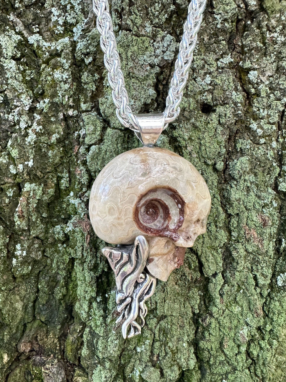Timor Skull Ammonite - Silver